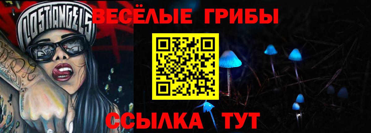 Псилоцибиновые грибы мицелий  магазин    Краснознаменск  Вход с VPN 