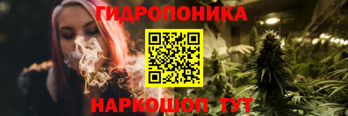 Бошки Шишки планчик Краснознаменск
